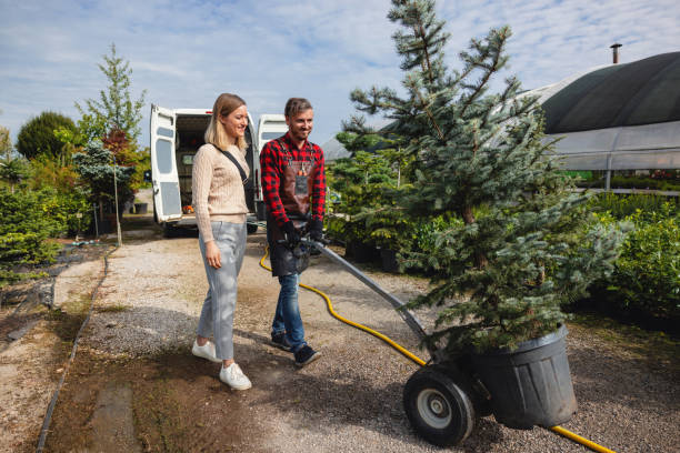  Connersville, IN Tree Removal Pros